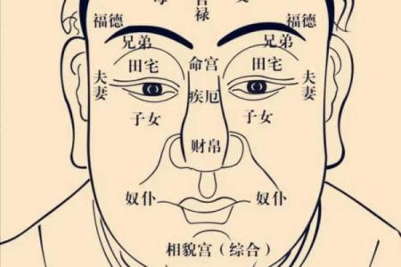 2025年3月11日寅时男命紫微斗数全解盘