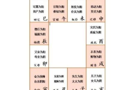 2025年4月11日子时女命紫微斗数全解盘