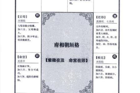 2025年4月21日卯时男命紫微斗数全解盘