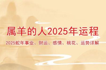 属羊今年多少岁数2025_属羊2021的今年多少岁