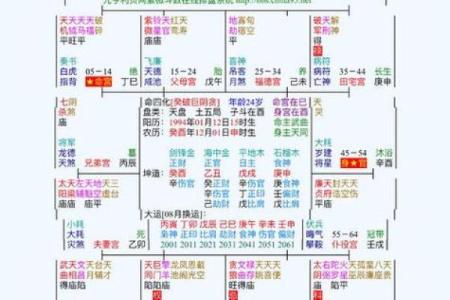 2025年4月14日卯时女命紫微斗数全解盘