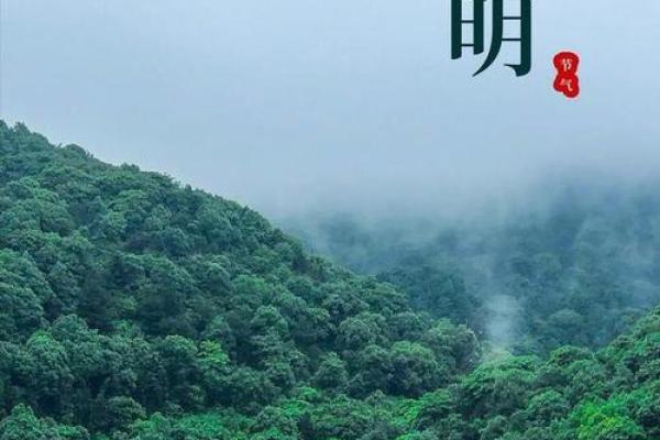 清明节临近，简单判断坟地风水