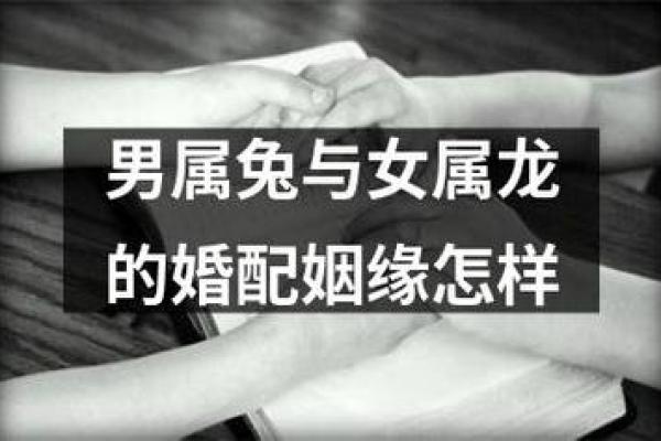 99年属兔女的最佳结婚年龄,1999年属兔婚配男人