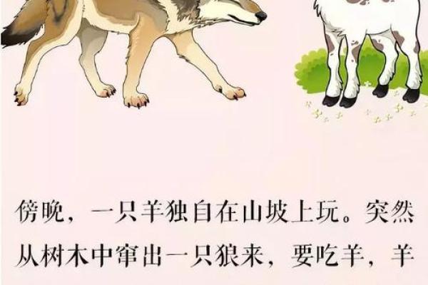 狼指十二生肖中的哪个星座