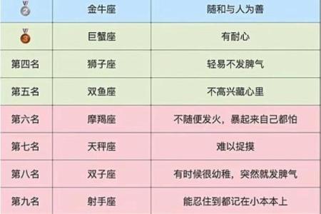 十二星座最适合什么功夫