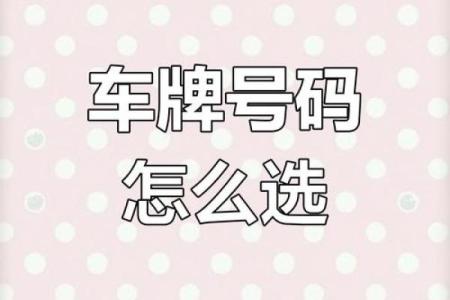 选个安装车牌吉日  给爱车上好牌