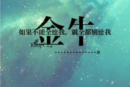 十二星座唯美句子简短
