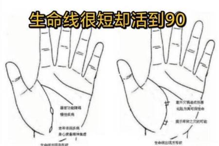 风水生命线短的人寿命短吗有什么说法