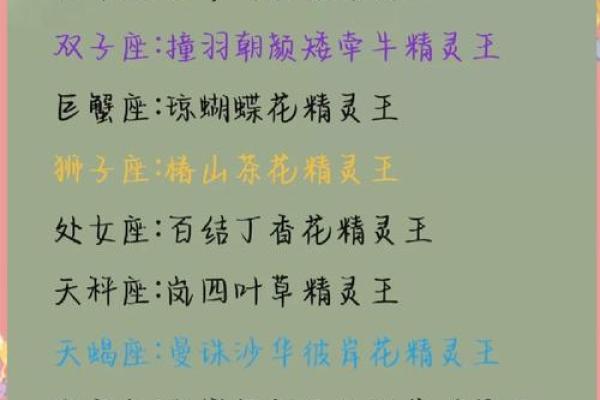 十二星座的专属花都有哪些呢