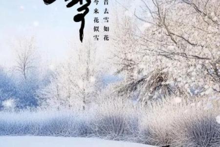24节气之小雪风水，瑞雪兆丰年