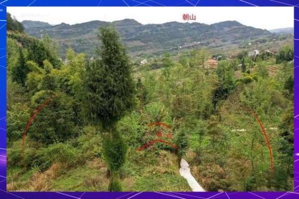 风水原则告诉你怎样挑选墓地