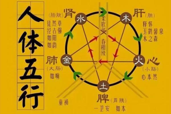 风水案例_阴阳五行是科学概念吗