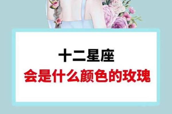 12星座最喜欢的玫瑰花是哪种
