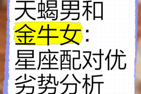 金牛座最喜欢和哪个星座在一起生活