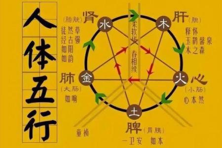 风水案例_阴阳五行是科学概念吗