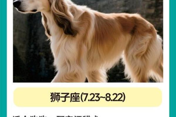 什么星座最适合养什么样的狗狗