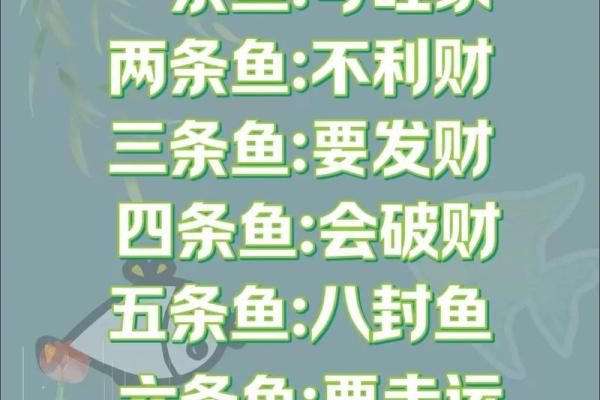 三的风水_鱼盆养几条鱼好