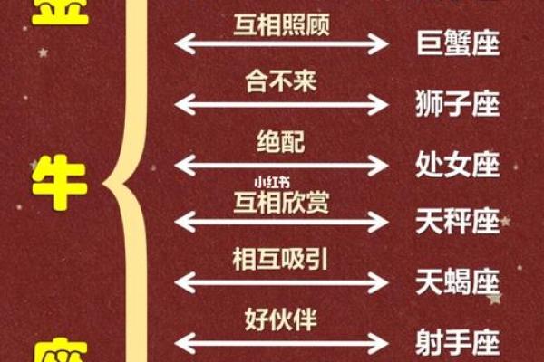 金牛座和什么星座可以结婚吗女生