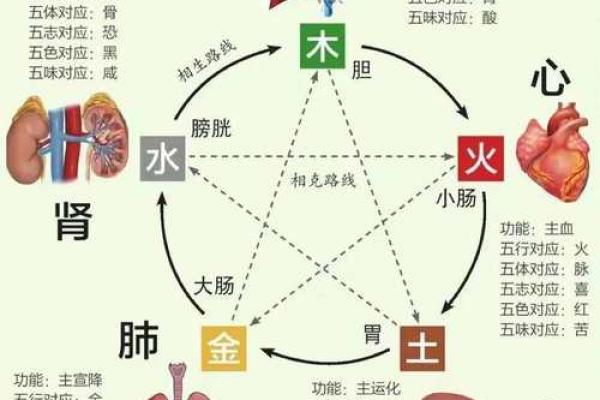 阴阳五行：教你五行八卦看风水