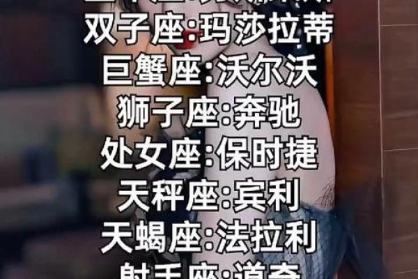 十二星座最适合的车排名图片