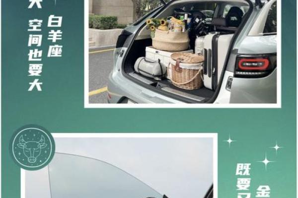 十二星座最适合的车排名图片