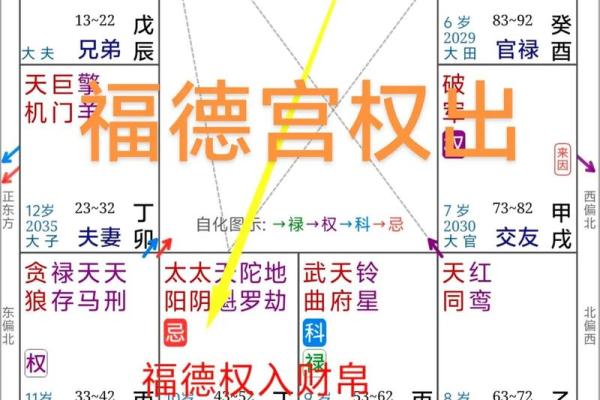 年紫薇星座运势查询表
