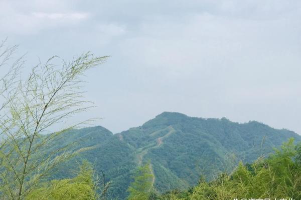 祖坟在公路旁边风水好吗