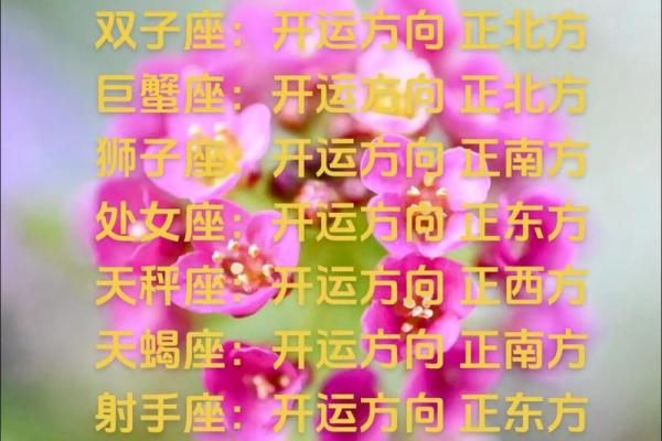 2012年适合创业星座