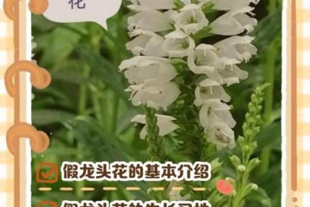 解答关于假花对风水有什么影响