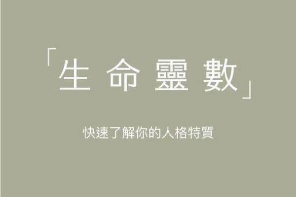 生命灵数5像什么星座