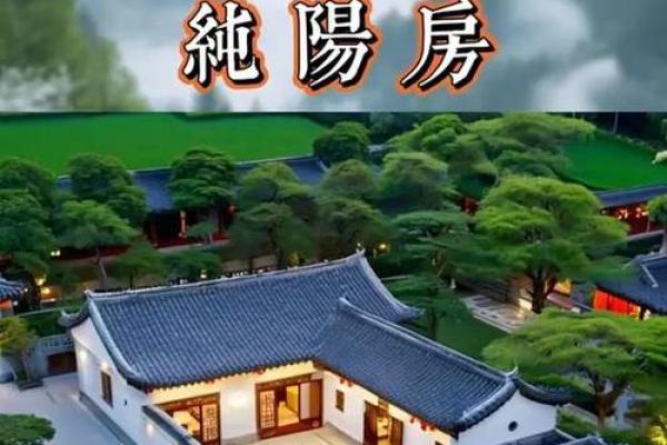 风水八字纯阳怎么化解有哪些方法