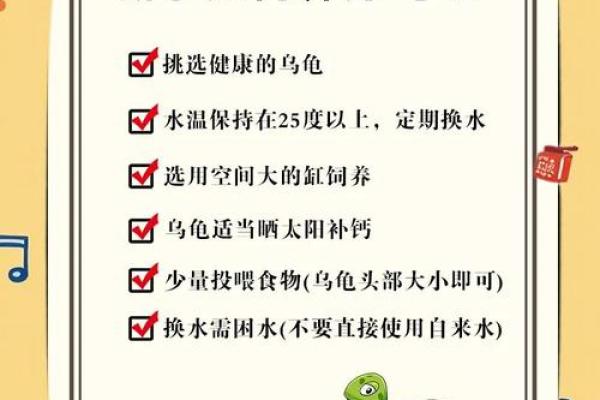 乌龟一般养几只吉利养龟风水养单数还是双数好