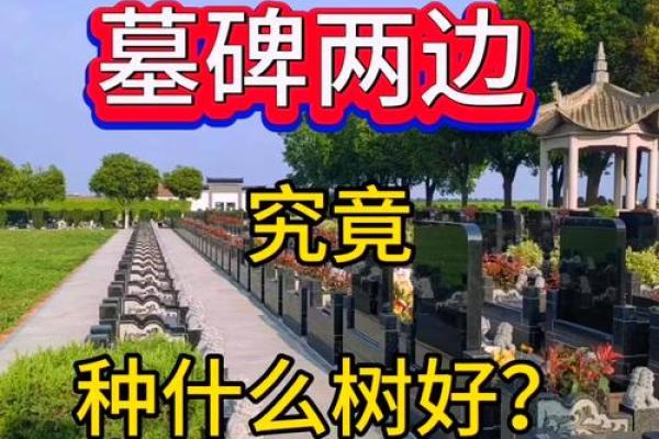 什么样的公墓风水是最好的风水
