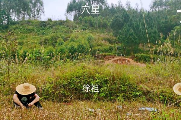 祖坟里放什么破风水，放什么好
