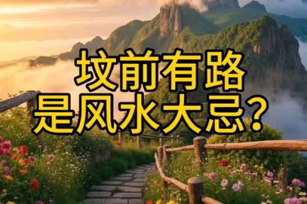 风水观念坟有四不迁是什么意思代表什么