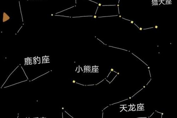 九星指的是哪些星座女生