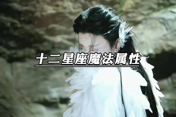 十二星座适合什么魔法属性