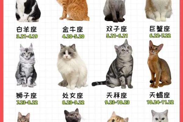 12星座长大开什么店最适合