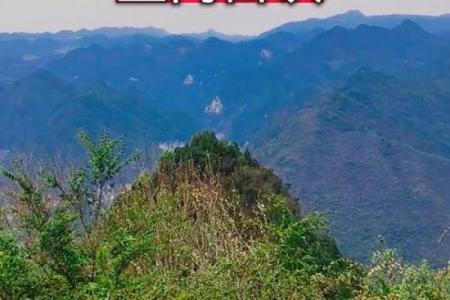 城市风水_别人的祖坟要葬在我家地里