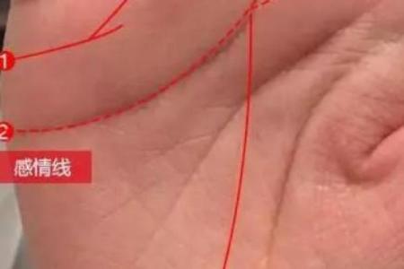 风水手相事业线止于感情线女人会有什么影响