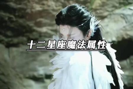 十二星座适合什么魔法属性