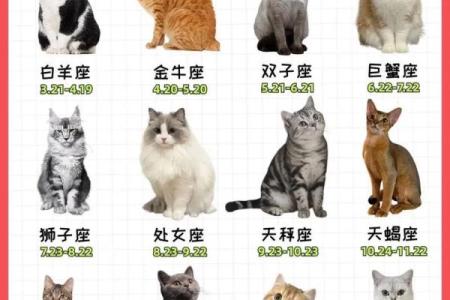 12星座长大开什么店最适合