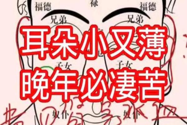 耳朵风水里代表什么