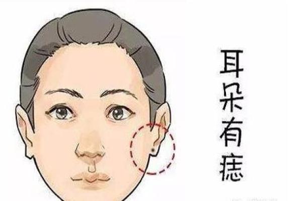 耳朵风水里代表什么