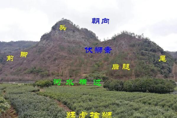 如何选择墓地风水朝向