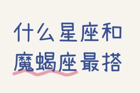 摩羯适合和哪个星座在一起生活