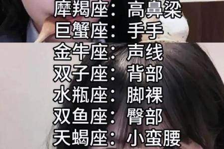 哪个星座长大了很帅又漂亮