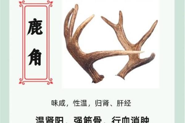 鹿角风水是中国传统文化中的重要组成部分
