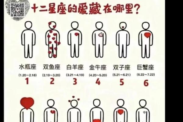 你最喜欢的星座男是哪个