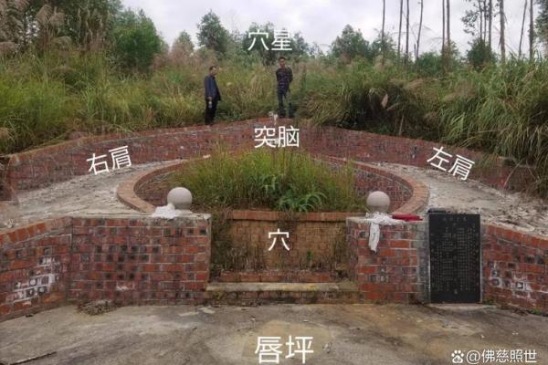祖坟风水不好的现象